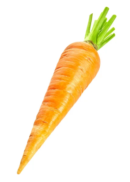 Морква рослинна ізольовані — стокове фото