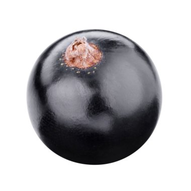 beyaz izole kuş üzümü