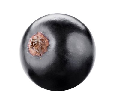 beyaz izole kuş üzümü