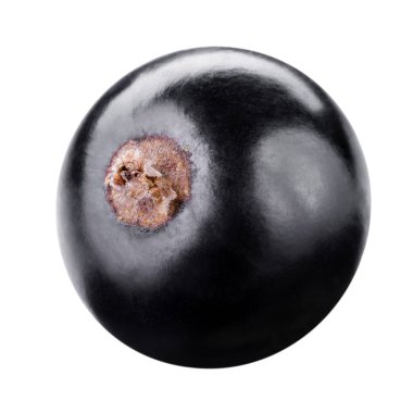 beyaz izole kuş üzümü