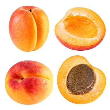 Kayısı meyve izole