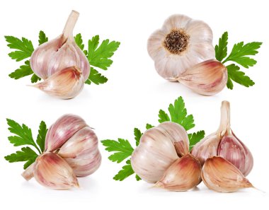 izole sarımsak koleksiyonu