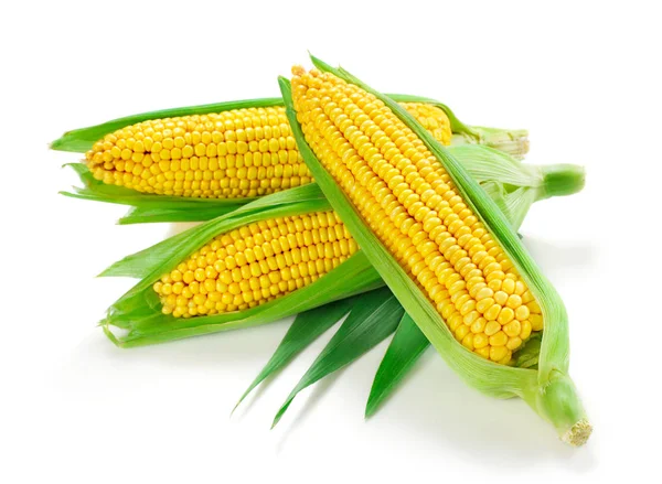 Maïs geïsoleerd op wit — Stockfoto