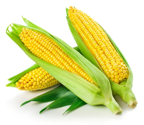 Corn isolated on white — Stock Photo, Image