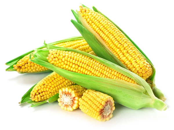 Kukuřice izolovaných na bílém — Stock fotografie