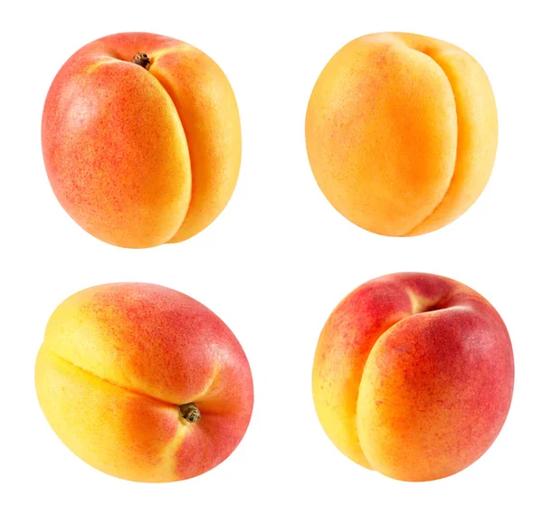 Aprikossoppa frukt isolerade — Stockfoto