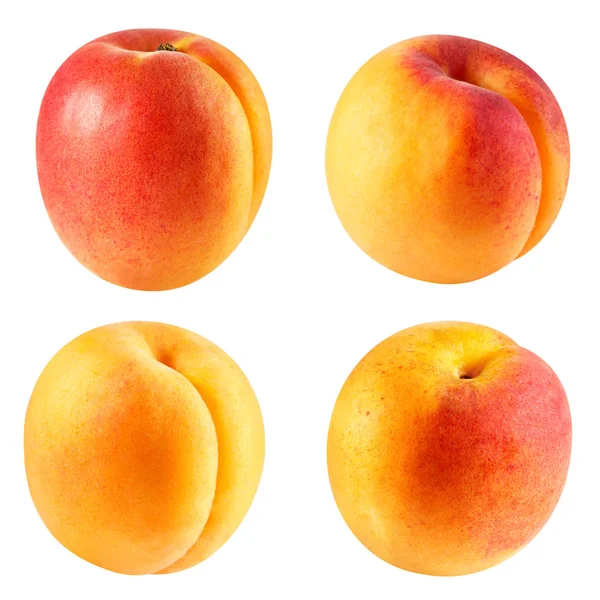 Apricot fruits isolated — Stock Photo, Image