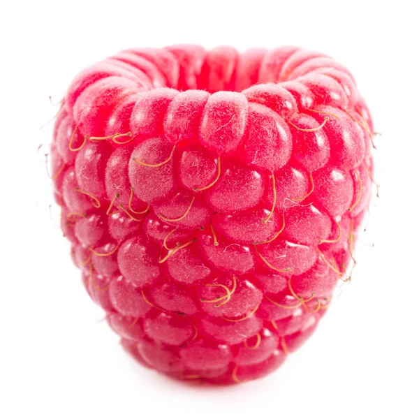 Raspberry isolated on white — Stock Photo, Image