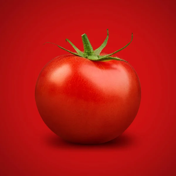 Tomato vegetables isolated — Stock Photo, Image
