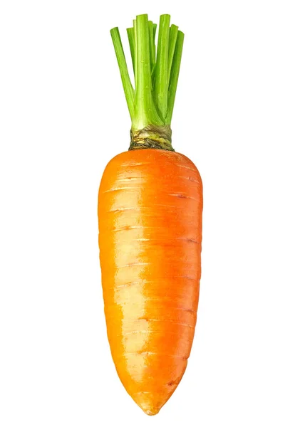 在白色背景上隔离的胡萝卜 — 图库照片