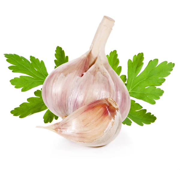 Knoblauch isoliert auf weiß — Stockfoto