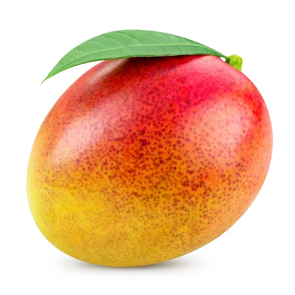 Mango izolat pe alb — Fotografie, imagine de stoc