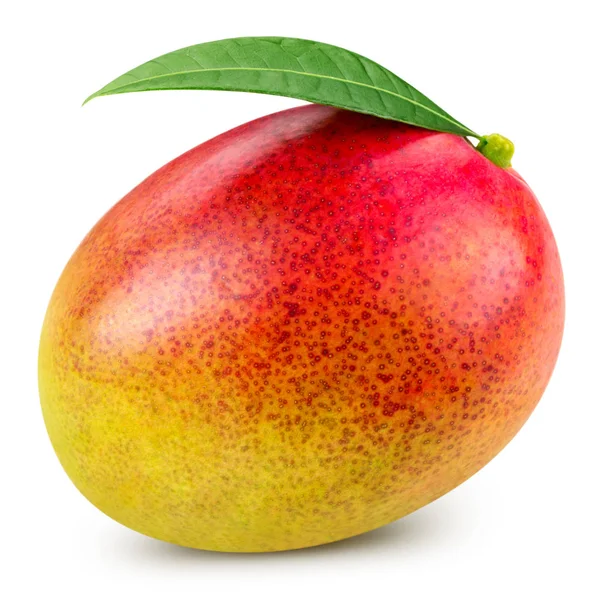 Mango isolated on white — Stock Photo, Image