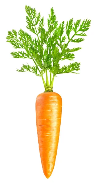 Carota isolata su bianco — Foto Stock