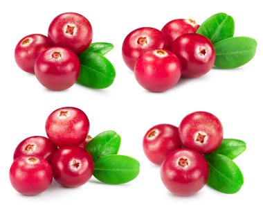 cranberries collection isolated clipart