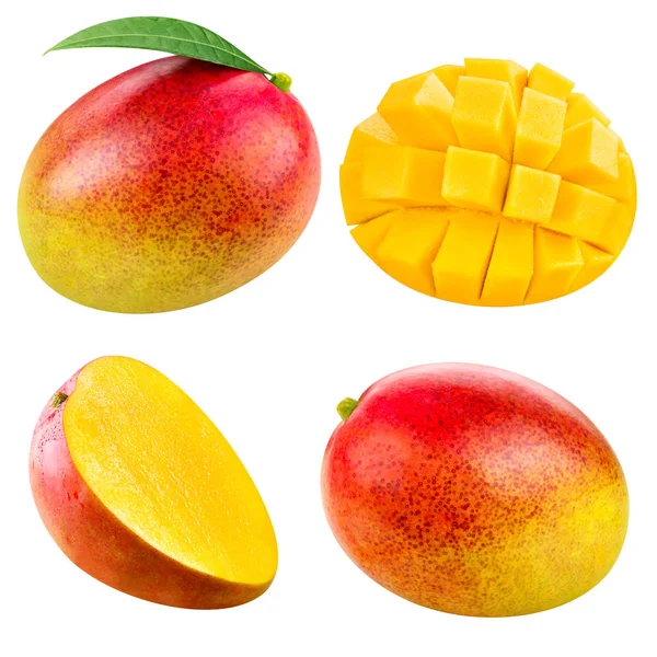 Frutto di mango isolato — Foto Stock