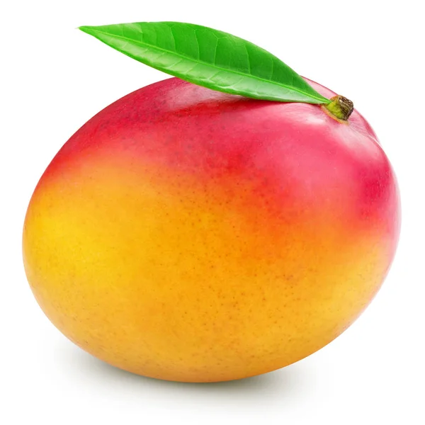 Mango ovoce, samostatný — Stock fotografie