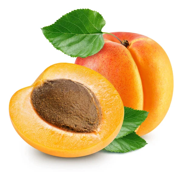 Abrikoos vruchten geïsoleerd — Stockfoto