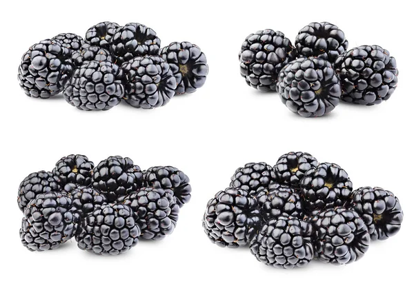 Ripe blackberries isolated — Stock Photo, Image