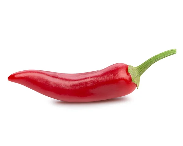 Chili paprika, elszigetelt — Stock Fotó