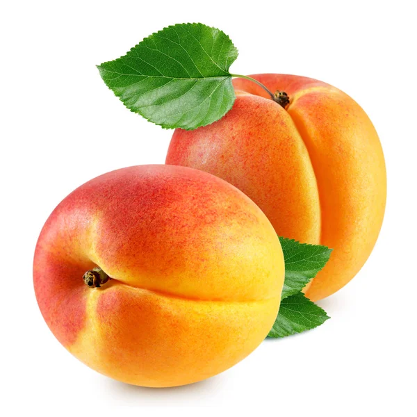 Aprikosenfrüchte isoliert — Stockfoto