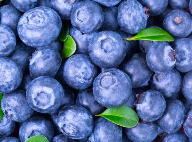 Olgun Blueberry arka plan