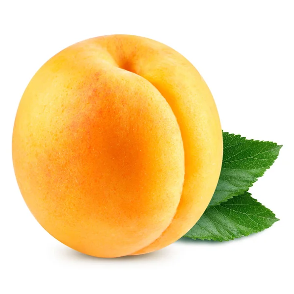 Apricot fruits isolated — Stock Photo, Image