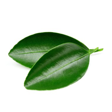 narenciye yaprakları izole