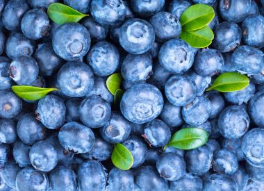Olgun Blueberry arka plan