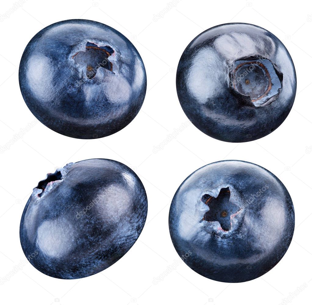 Ripe Blueberry isolated