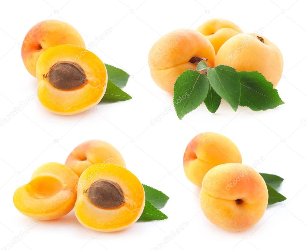 apricot isolated on white