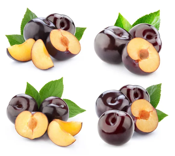 Plum collection isolated — Stock Photo, Image