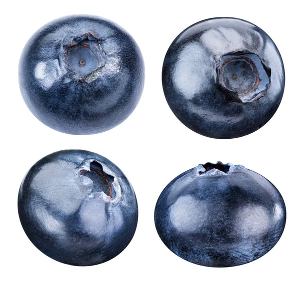 孤立的成熟蓝莓 — 图库照片