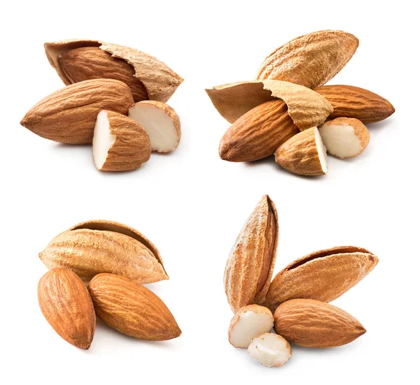 Almonds nuts collection — Stock Photo, Image