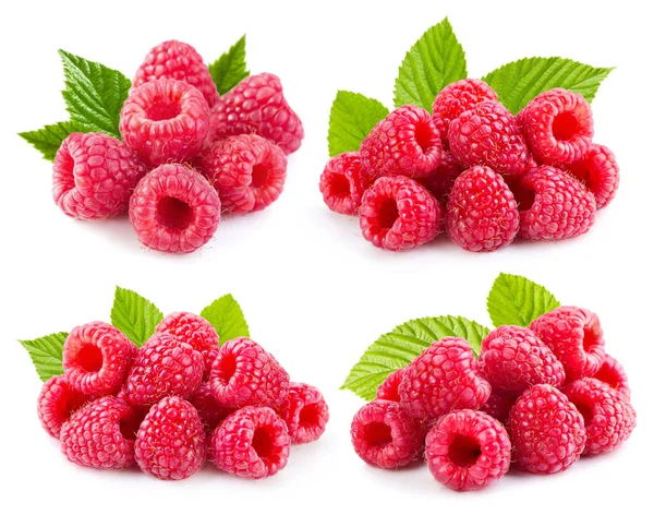 Raspberry isolated on white — Stock Photo, Image