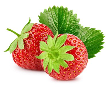 Çilek beyazda izole edilmiş