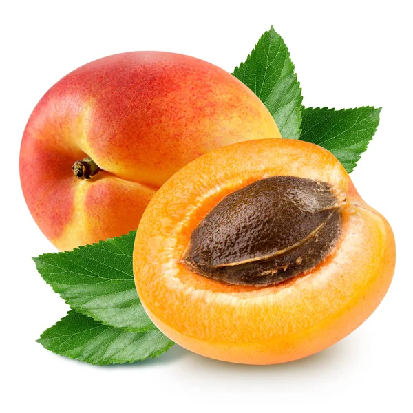 Abrikoos vruchten geïsoleerd — Stockfoto