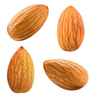 Badem fındık toplama