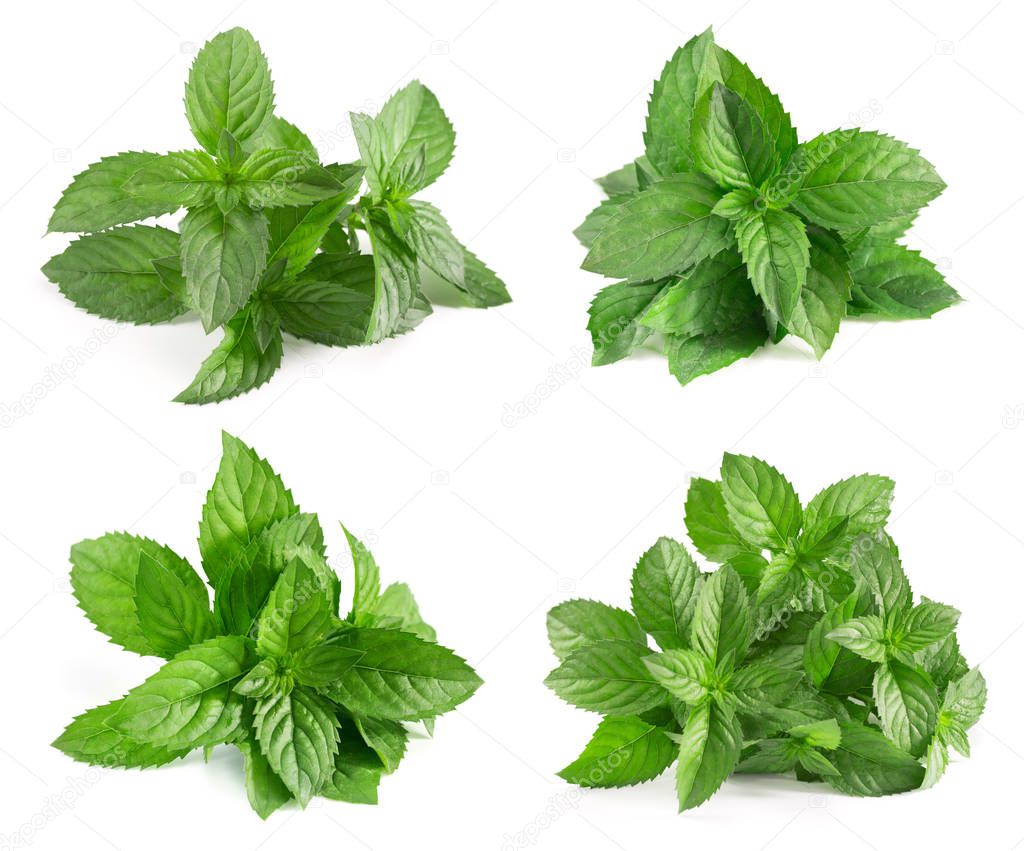 mint collection isolated