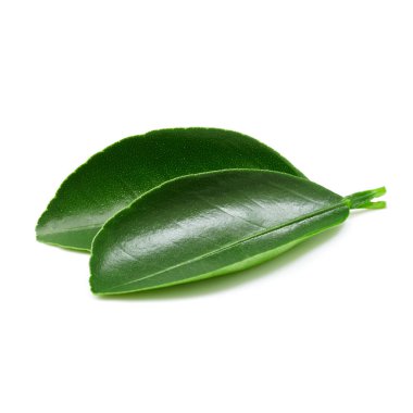 narenciye yaprakları izole