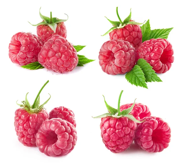 Raspberry isolated on white — Stock Photo, Image