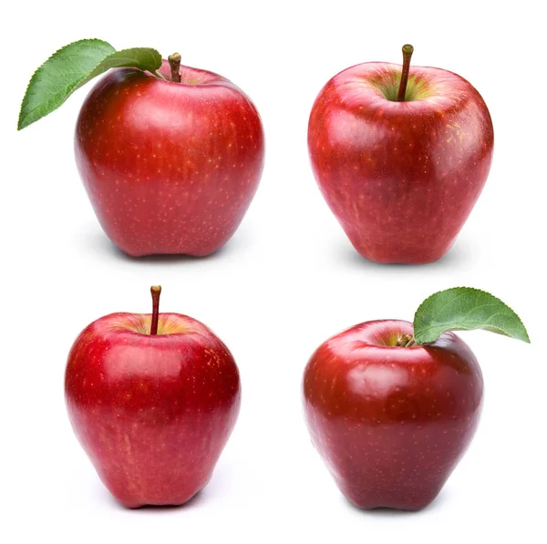 Frutti di mela con foglia — Foto Stock