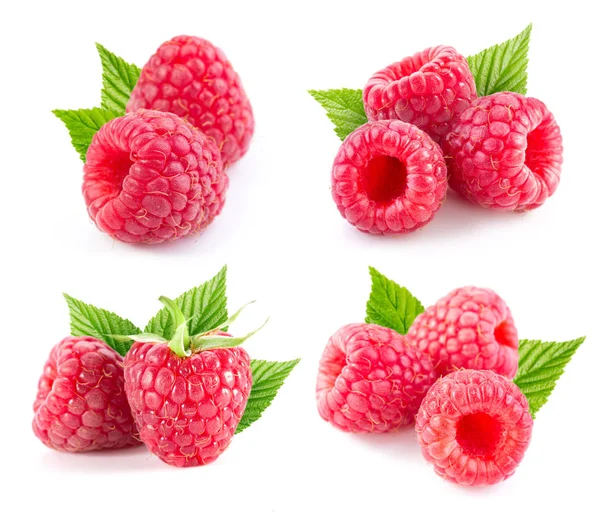 Raspberry isolated on white — Stock Photo, Image