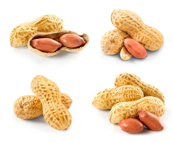 Pistache noten collectie — Stockfoto