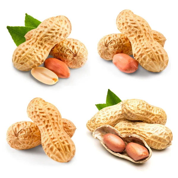 Collection de noix de pistache — Photo