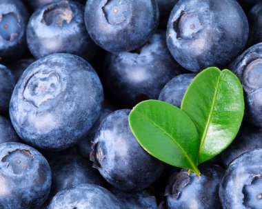 Olgun Blueberry arka plan