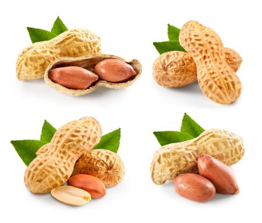 Fıstık fındık toplama