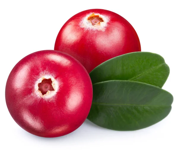 Cranberries on a white — Stock Photo, Image