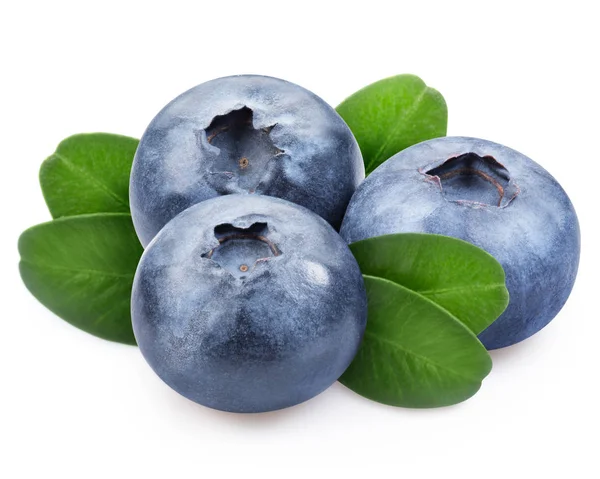 Érett Blueberry elszigetelt Stock Fotó