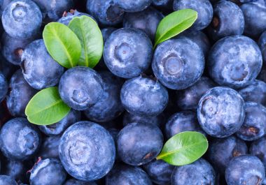 Olgun Blueberry arka plan
